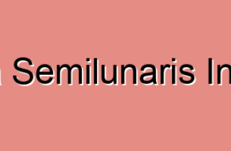 Linea Semilunaris Injuries