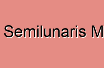 Linea Semilunaris Masses