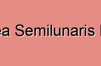 Linea Semilunaris Pain