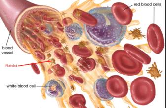 rx blood types n