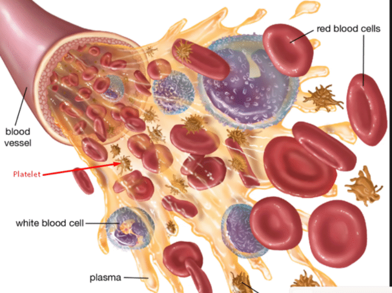 rx blood types n