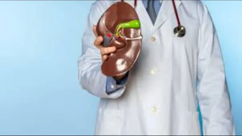 doctor holding galblader