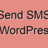 How to Track Third-Party Domain Requests in WordPress
