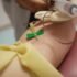 Tramadol Contraindications, Pregnancy Category