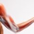 Elbow Dislocation – Causes, Symptoms, Diagnosis, Treatment