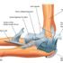 Elbow Joints Fractures – Causes, Symptoms, Treatment