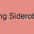 Congenital Ring Sideroblasts