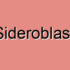 Hereditary Sideroblastic Anemia