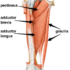 Piriformis Steroid Injection – Indication, Contraindication