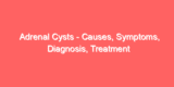 Adrenal Cysts – Causes, Symptoms, Diagnosis, Treatment