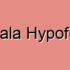 Amygdala Dysfunction