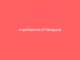 Angioblastoma of Nakagawa