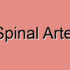 Ischemic Anterior Spinal Arteries Stroke