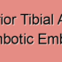 Anterior Tibial Artery Thrombosis