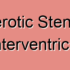 Degenerative Stenosis in the Anterior Interventricular Artery