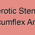 Degenerative Stenosis in the Circumflex Artery