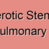 Degenerative Stenosis in the Left Pulmonary Artery?