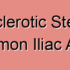 Degenerative Stenosis of Common Iliac Artery