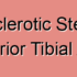 Degenerative Stenosis of the Posterior Tibial Artery