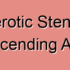 Arteriosclerotic Stenosis of the Descending Aorta
