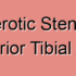 Posterior Tibial Artery Atherosclerotic Plaque