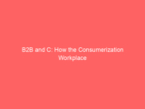 B2B and C: How the Consumerization Workplace