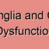 Basal Ganglia Claustrum Ischemia