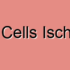 Betz Cells Dysfunction