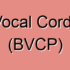 Unilateral Vocal Cord Paralysis (UVCP)