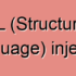 Blind XPath Injection