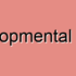 Brain Developmental Compression