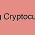 Crypto Point of Sale