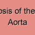 Degenerative Stenosis of the Ascending Aorta