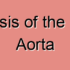 Aneurysmal Rupture of Descending Aorta