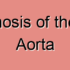 Thromboembolic Obstruction of the Thoracic Aorta