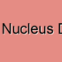 Basal Ganglia Claustrum Ischemia