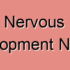 CNS Development Ischemia