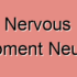 Brain Developmental Disorders