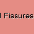 Cerebral Fissure Dysfunction