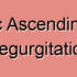Acute Ascending Aorta Regurgitation (AAAR)
