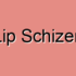 Open Lip Schizencephaly