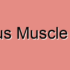 Coccygeus Muscle Disorders