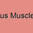 Coccygeus Muscle Atrophy