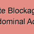 Abdominal Aortic Blockage