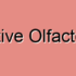 Sensorineural Olfactory Loss