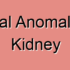 Congenital Urologic Anomalies