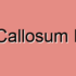 Corpus Callosum Dysfunction