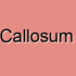 Corpus Callosum Dysfunction