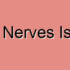 Olfactory Nerve Disorders