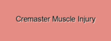 Cremaster Muscle Injury